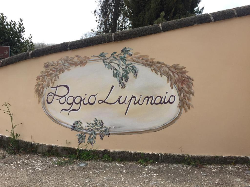Podere Poggio Lupinaio San Martino sul Fiora Екстер'єр фото