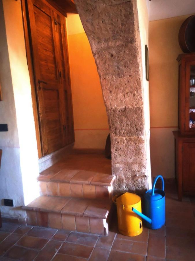 Podere Poggio Lupinaio San Martino sul Fiora Екстер'єр фото